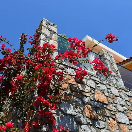 Melina Skiathos Kolios Exterior foto